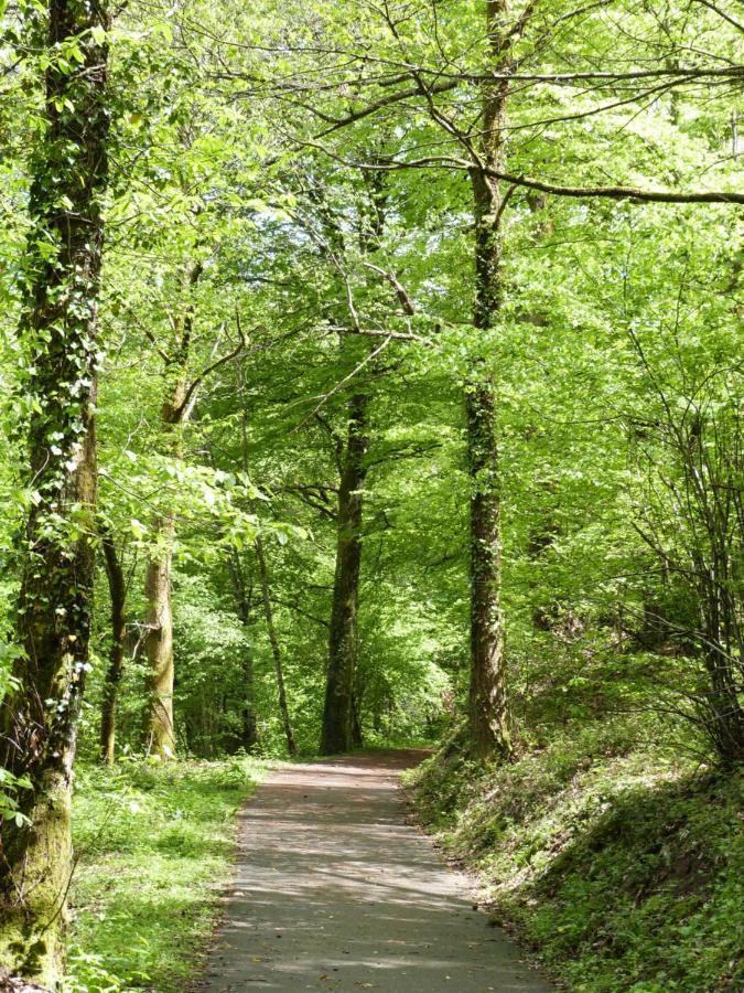 Lumineuse Maison Neuve, Cosy,67M², 2 Chambres/6 Couchages 1Km Lac, 200M Du Bourg. Vue Paisible, Sur La Nature Saint-Pardoux  Luaran gambar